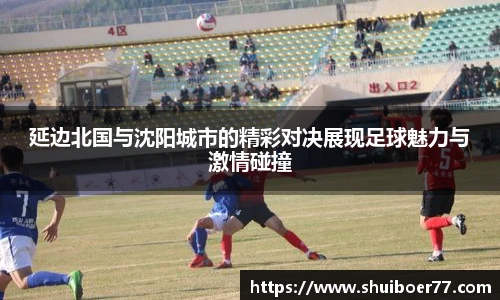 延边北国与沈阳城市的精彩对决展现足球魅力与激情碰撞