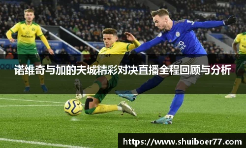 诺维奇与加的夫城精彩对决直播全程回顾与分析