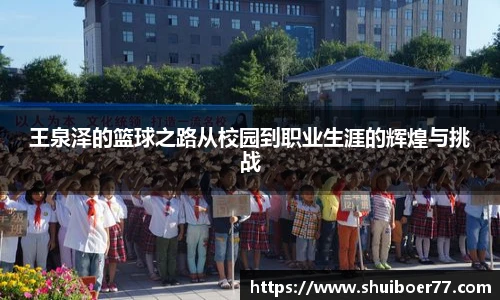 im电竞官网入口